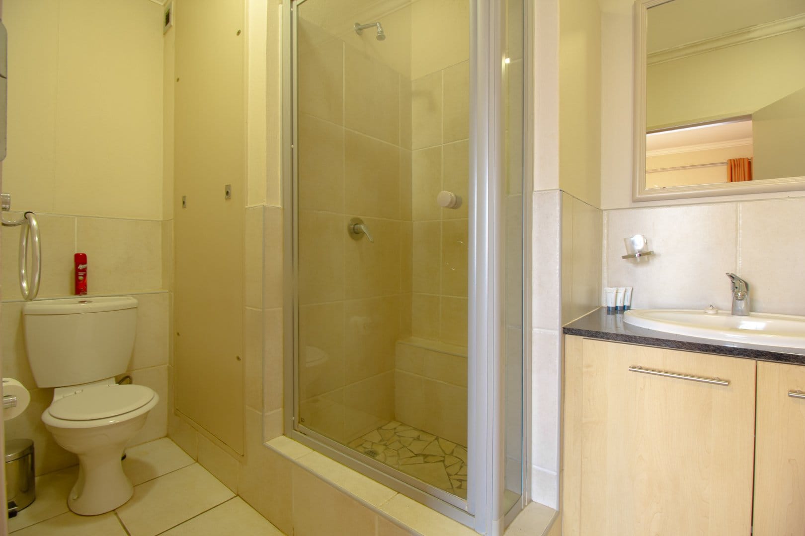 Apartment_to_rent_in_Sandton_by_propertyzz_com 11